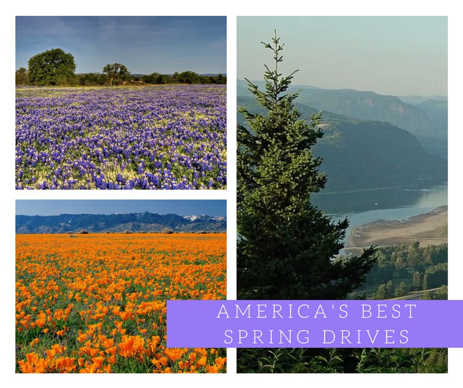washington_ford's tweet photo. We can’t wait for spring to get here in Washington! Get inspired to start planning your next adventure on the road with these beautiful drives ➡ https://t.co/7aosEBm0xc https://t.co/Z0A8rypv6a