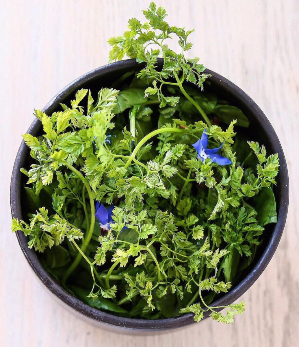 WellbeingCafes's tweet photo. 50 shades of green 🌱 What is your favorite? ☘️🍃🌿 #destroyerla #plantstrong #plantpower #cleaneating #healthyeating #eatclean #plantprotein #veganfood #whatveganseat https://t.co/96r9NHv2J9