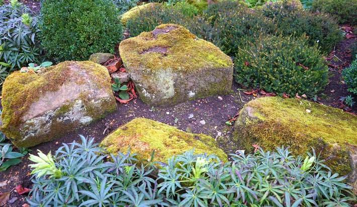 DarrellHouston7's tweet image. DIY landscaping ideas that add color and dimension: otbd.it/0Lw3ypjB