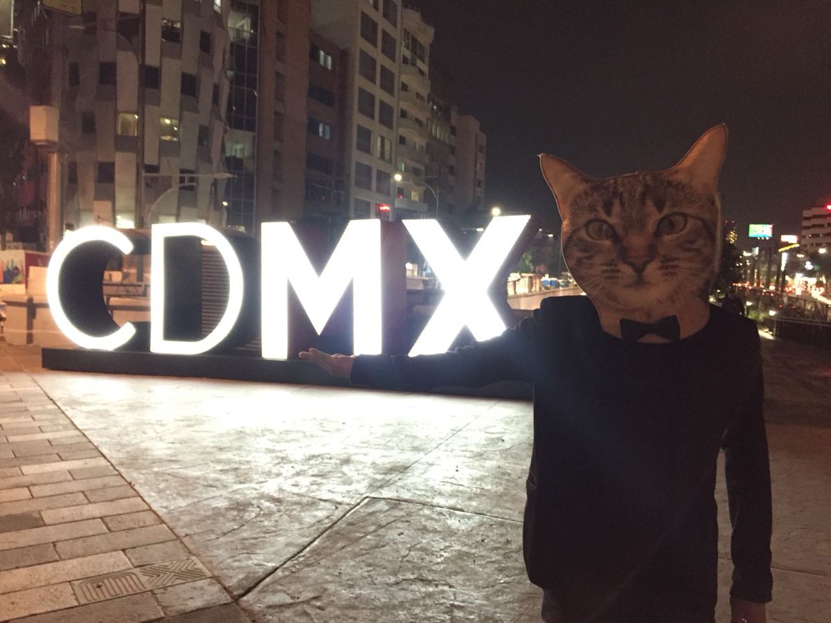 GarrisElGato's tweet photo. #SubeFotoDeTuGato subí una foto mia. ;) https://t.co/PCaRyNvn2e