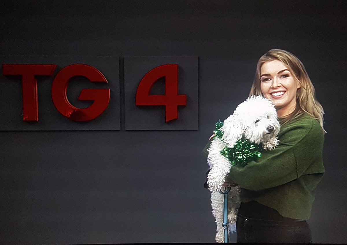 TG4TV's tweet photo. Bhí cuairteoir againn inniu i gceannáras TG4. Seo Lucy i stiúideo na haimsire @AimsirTG4 le @CaitlinNicAoidh
Tá saol an mhadra bháin aici! #StPatricksDay https://t.co/BTH77mUHc6