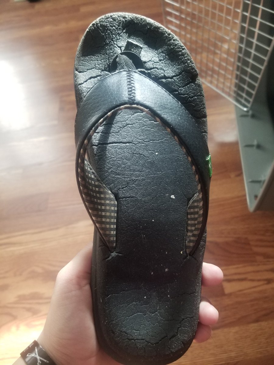 MishMade18's tweet photo. In case anyone was curious, @SanukFootwear flip flops will last you 2.5 years of daily wear. We had a good run. RIP most comfortable sandals ever #thanksforthememories #yogamat #sanukfootwear https://t.co/nFilzqAvc1