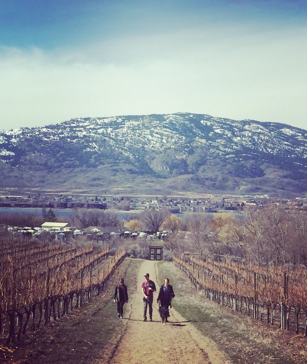 Heather Evans tweet media