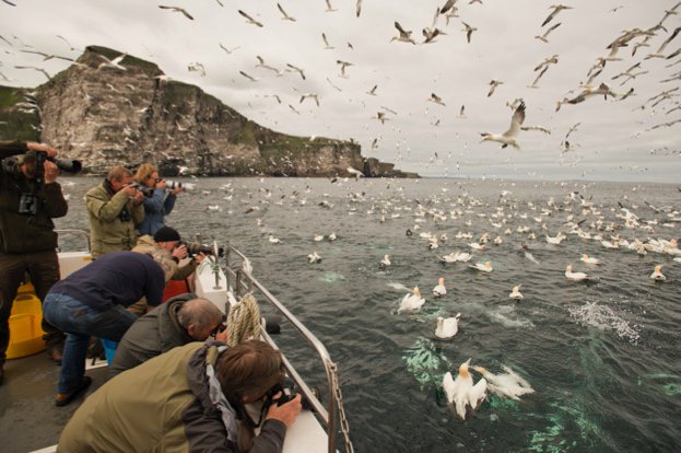 Go on a photographic safari in Shetland

Take amazing images of British species with other <a href="/WildlifeMag/">BBC Wildlife</a> readers on this exciting seven-night trip with <a href="/shetlandnature/">Brydon Thomason</a> and <a href="/DavidTipling/">David Tipling</a>: ow.ly/SZa830iZeKC