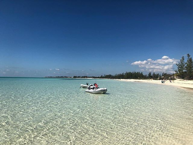 MichaelRealty's tweet photo. Still not doing anything. 🤷♂️ #stilldre #mindfullness #relaxing #bahamas #dolessgetmore #stpatricksday #jameson https://t.co/XY7mdeqxh2 https://t.co/hqgrONc15C