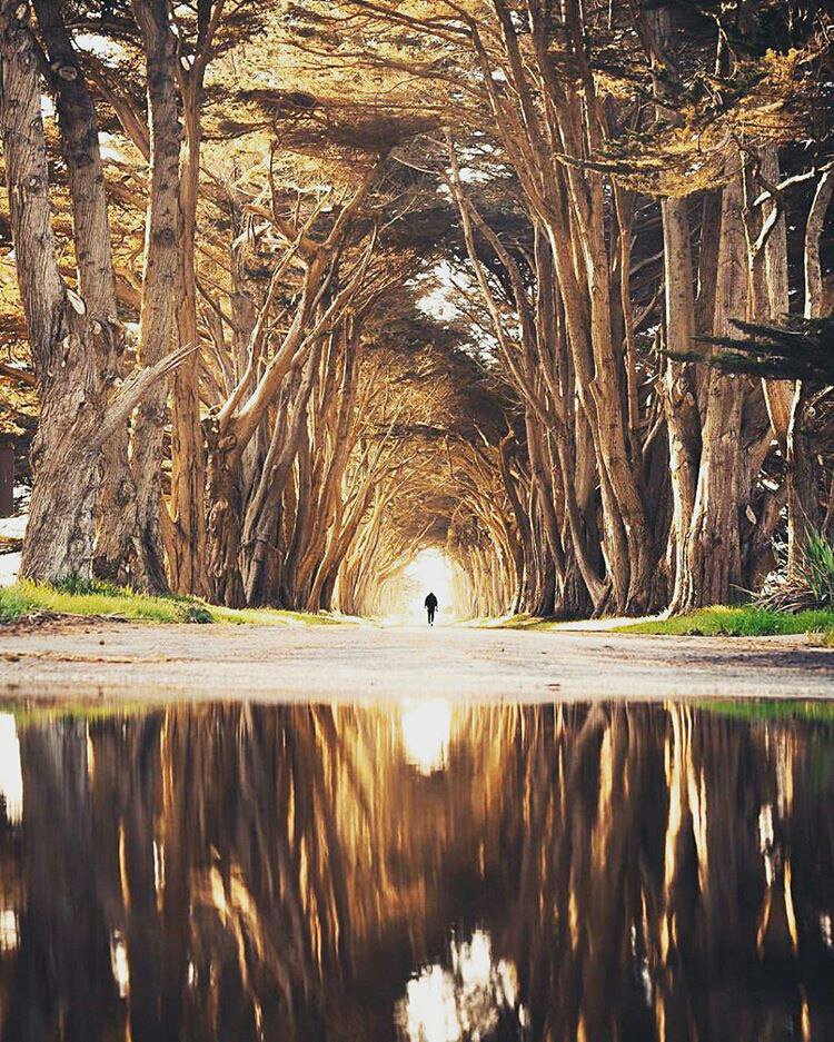 عِش الشعور الذي يولدُ فيك بعفوّية لا يهم مايكون لا يهم ما سيُقال عنك المهم أن تكون حقيقيًا ...✨💕