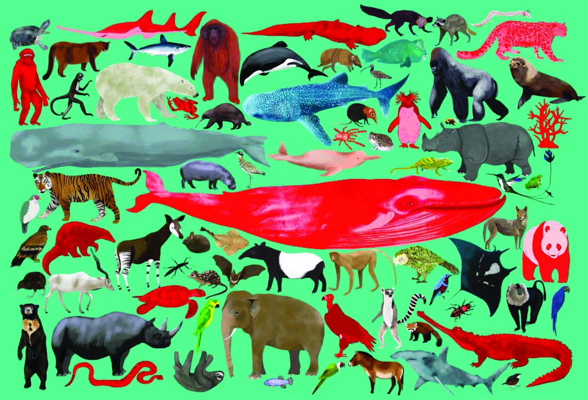 IUCN Red List na Twitterze: „Red Alert! - Inspired by the Red List - a new  children's book is published this week! /qJPil88EZr #books  #reading #conservation #animals #wildlife /vsNwYIXnVV” / Twitter