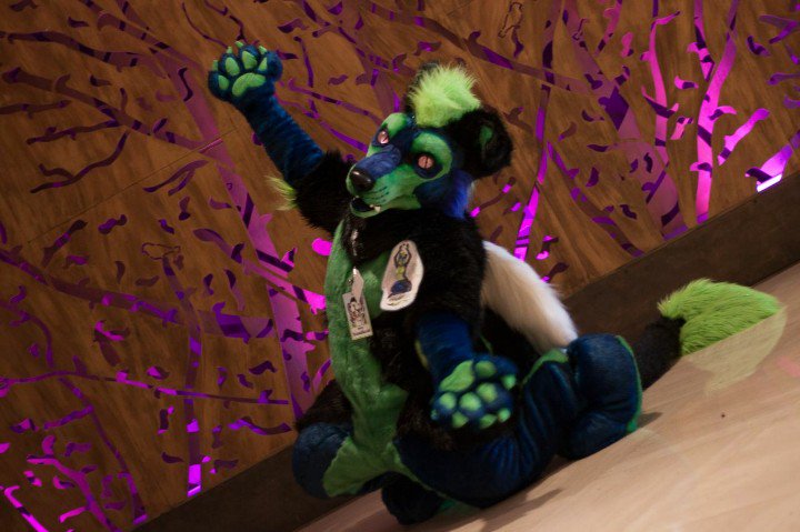 Yudan333's tweet photo. Some fun @FurryFiesta #TFF17
#fursuitYudy #fursuitcrush @fursuitcrushes
@AwesomeFursuits @CuteFursuits @FCuteSuits
✂️ @fursonalities https://t.co/KsRCogMfjn