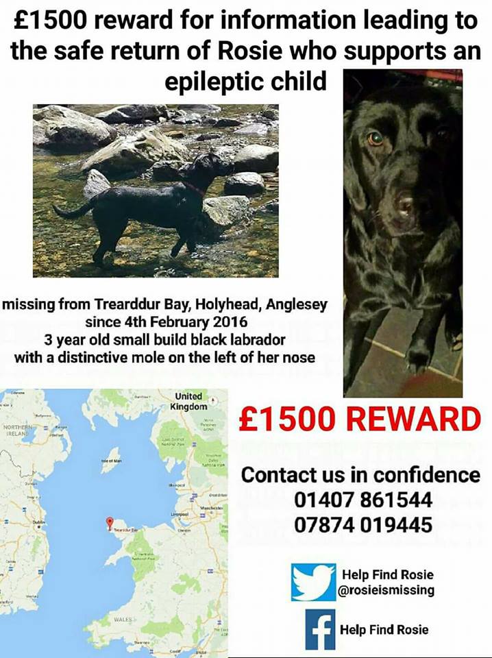 blacklab115's tweet photo. #missing
#findrenee
#findrioandsia
#findsally
#findrosie https://t.co/HwEmlUzDok