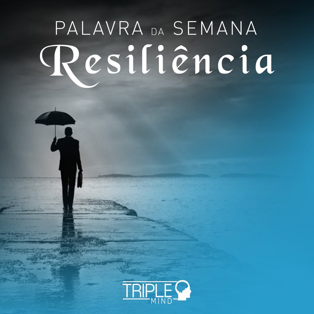 TripleMindPT's tweet photo. Palavra da Semana | Resiliência

Capacidade de lidar com problemas, adaptar-se a mudanças, superar obstáculos e resistir à pressão de situações adversas como o stress ou algum evento traumático.

#TripleMind #SharingKnowledge #Resiliência #Resilience #Business #Gestão #Negócio https://t.co/LYWIOAjvGI