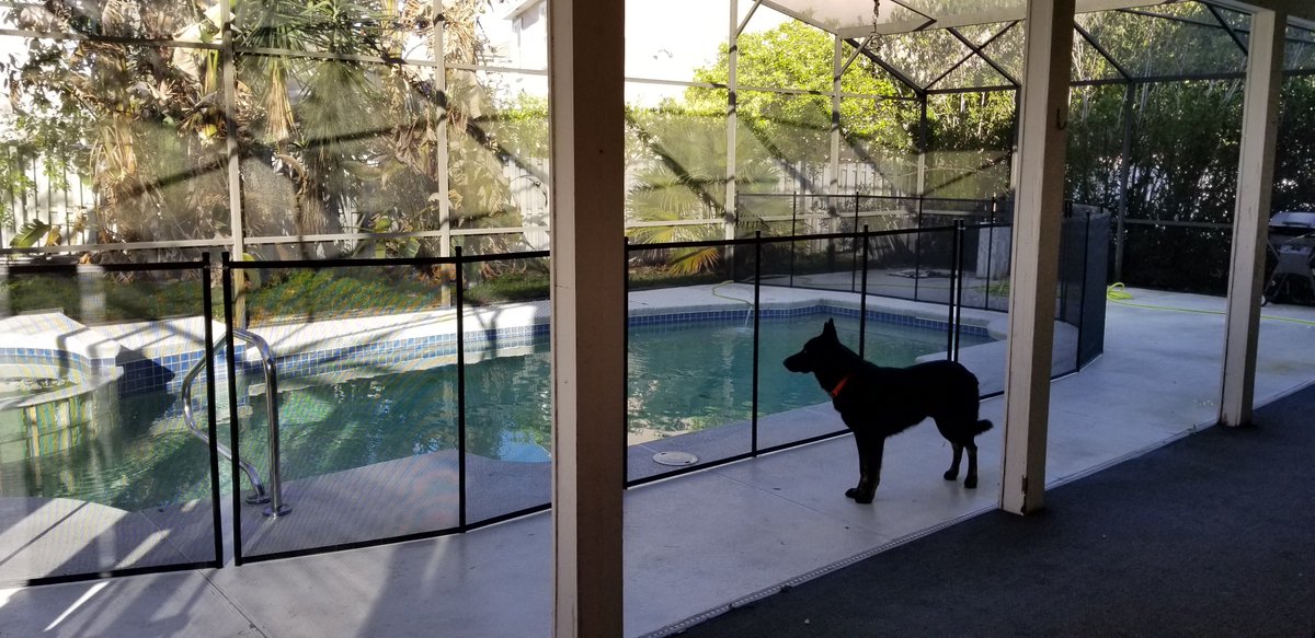 PoolFenceOrl's tweet photo. Puppy Safe Pool Fence by Life Saver Pool Fence of Central Florida
407-365-2400 #PoolSafetyFence
http:..www.centralfloridapoolfence.com
Servicing the Greater Orlando area since 2001. #PoolSafety #ChildSafety https://t.co/MLwB9qK1EQ