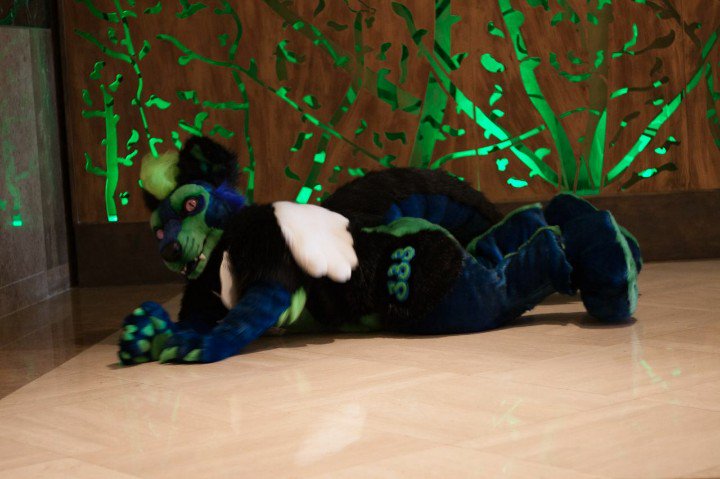 Yudan333's tweet photo. When you're playing dead but then someone mentions cookies. Then they have the audacity to say 'just kidding'
K.O.
#TFF17 @FurryFiesta
#fursuitYudy #fursuitcrush @fursuitcrushes
@AwesomeFursuits @CuteFursuits @FCuteSuits
✂️ @fursonalities https://t.co/yae2471abx