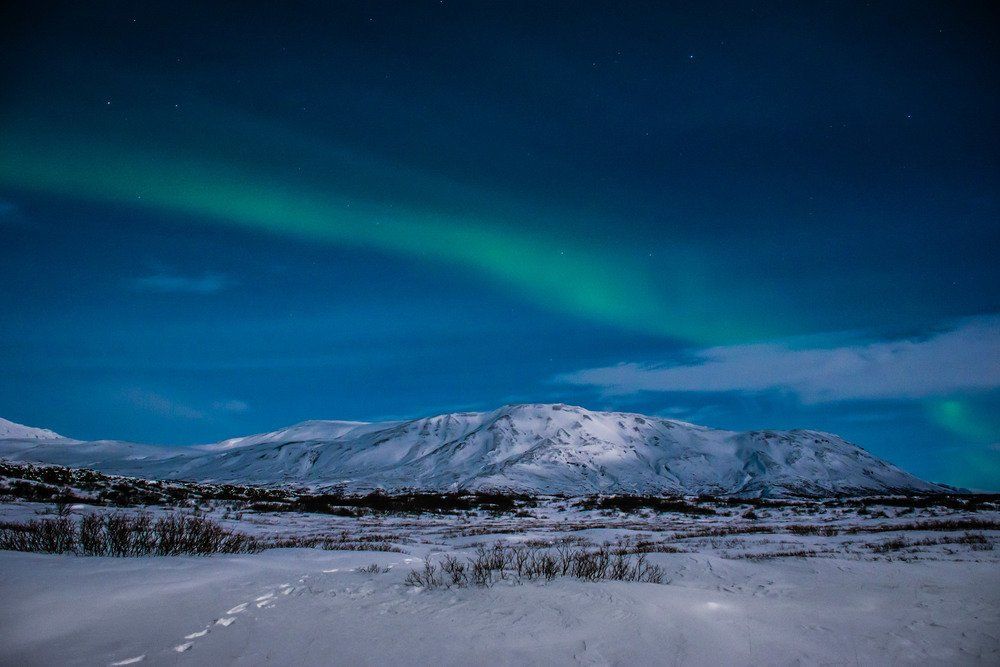 No Destinations tweet media