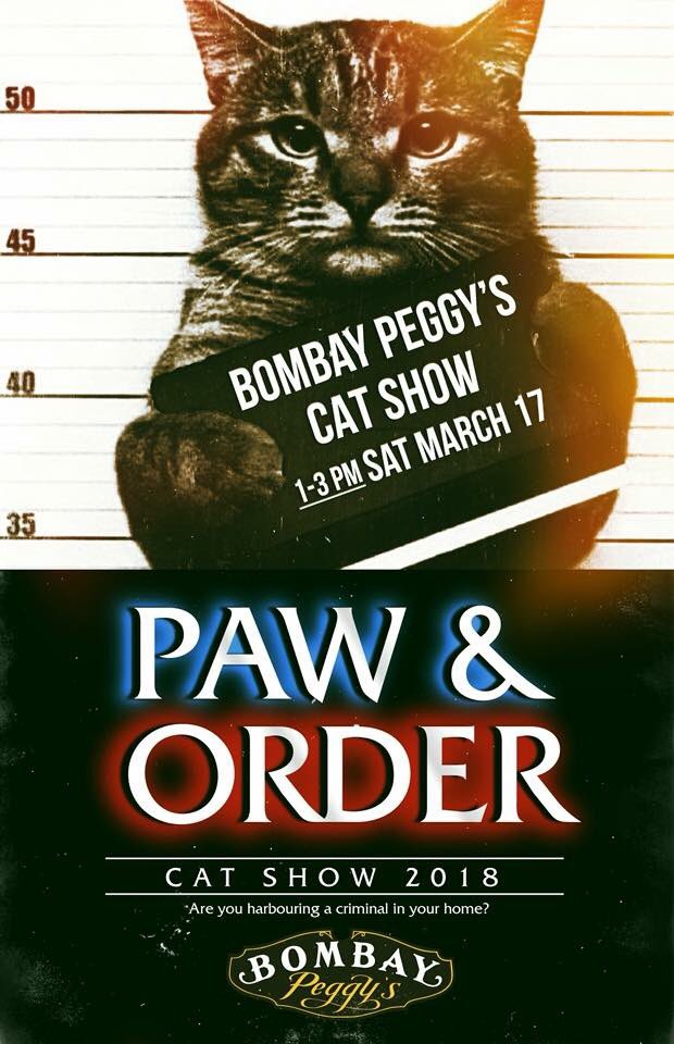 jeaniedendys's tweet image. Okay...a Cat Show! Only in @DawsonCityYukon! So much fun😂#CatShow at #BombayPeggys