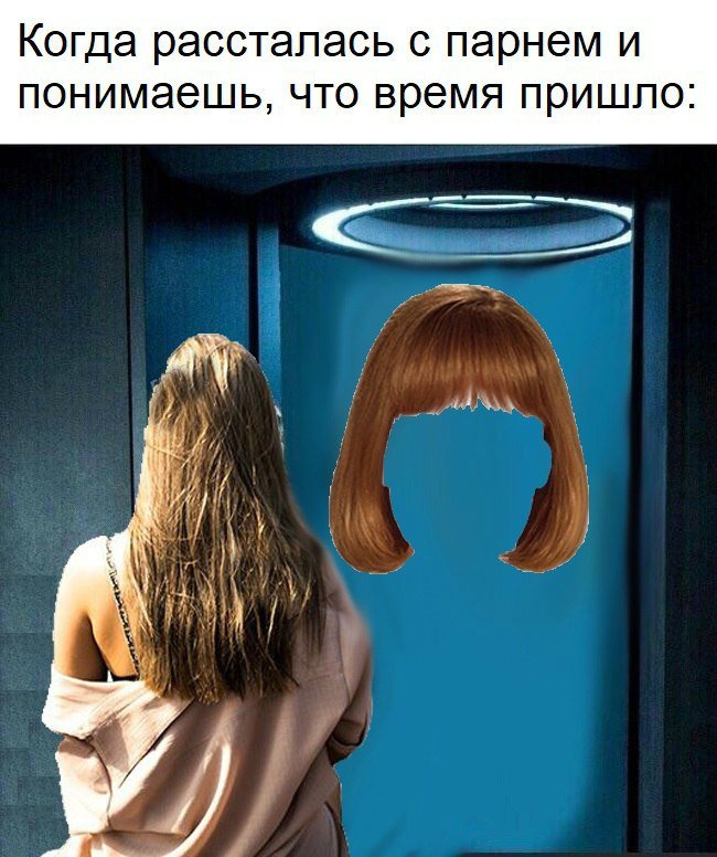 кутёнок tweet media