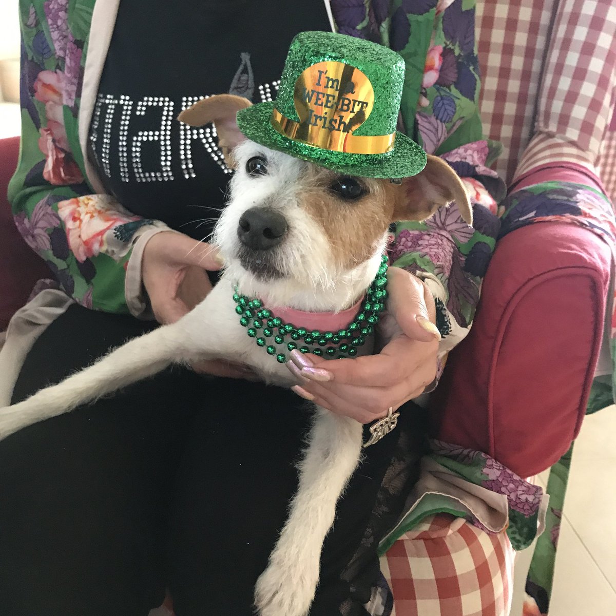 MariahCarey's tweet image. I'm a wee bit Irish! ☘️☘️ Happy St. Patrick's Day!