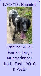 blacklab115's tweet photo. #findsusse REUNITED,yippee,great news https://t.co/9PozGapRYt