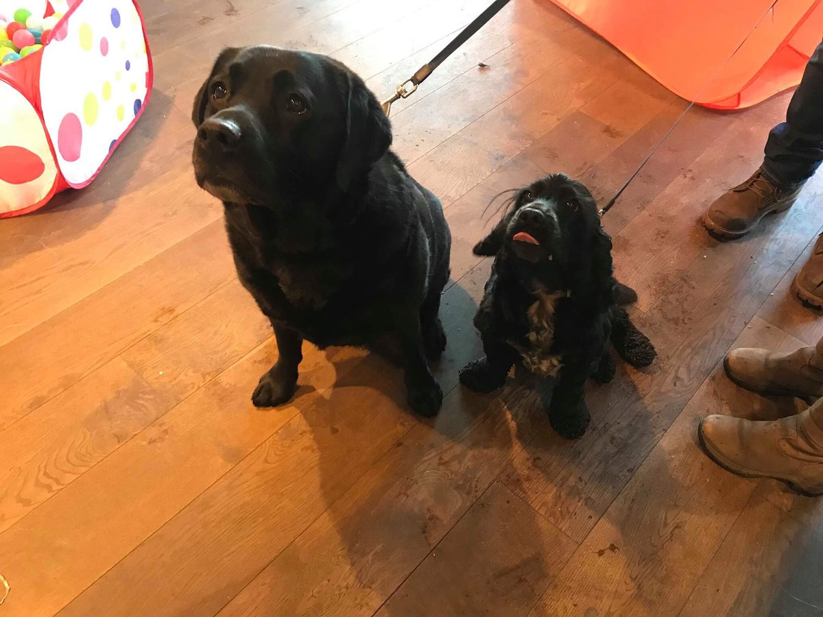 Thankyou so much to everyone that came to our party today!🎉We were surrounded all day by such lovely people &amp; your awesome Barkers &amp; we were so touched by how many people came to say bye. We’ll miss you all!😢full album on Facebook