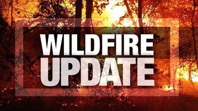 FFS_Bunnell's tweet photo. UPDATE on #208Fire in St Johns County. Unknown acreage and/or cause at this time. Supervisor on scene says fire is moving slowly towards natural break. FD is on scene assisting. https://t.co/8MuUYBmjYt