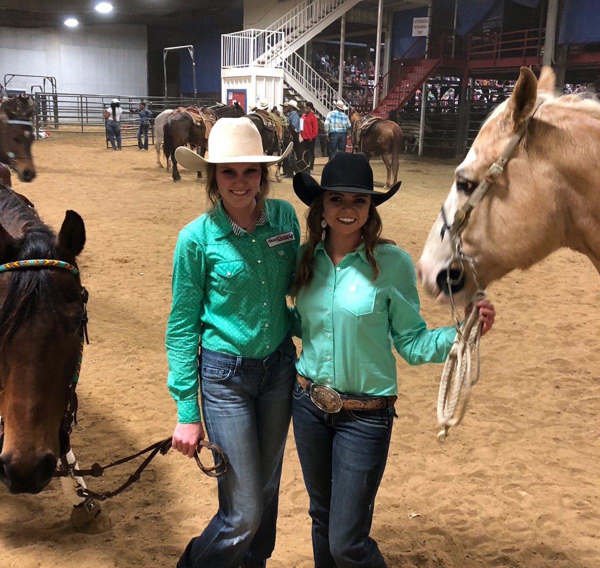katiepersch's tweet photo. Not the weekend we wanted, but super glad to have both Bam & Whiskey back!๐ #KPx2 https://t.co/BZne0Rk4Y9