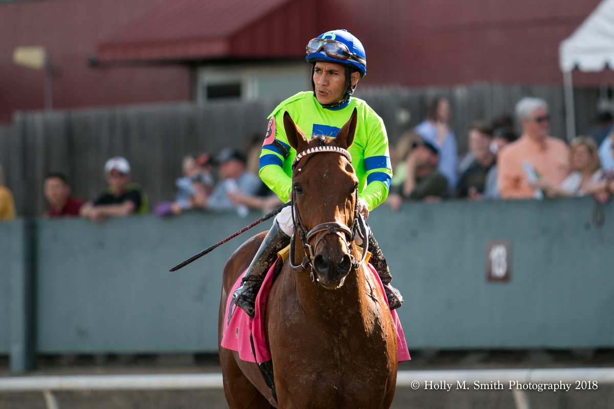 kyholmarie's tweet photo. @LooochRacing Dalmore in #datlight
Paco Lopez, up https://t.co/iqF1qLoMmh