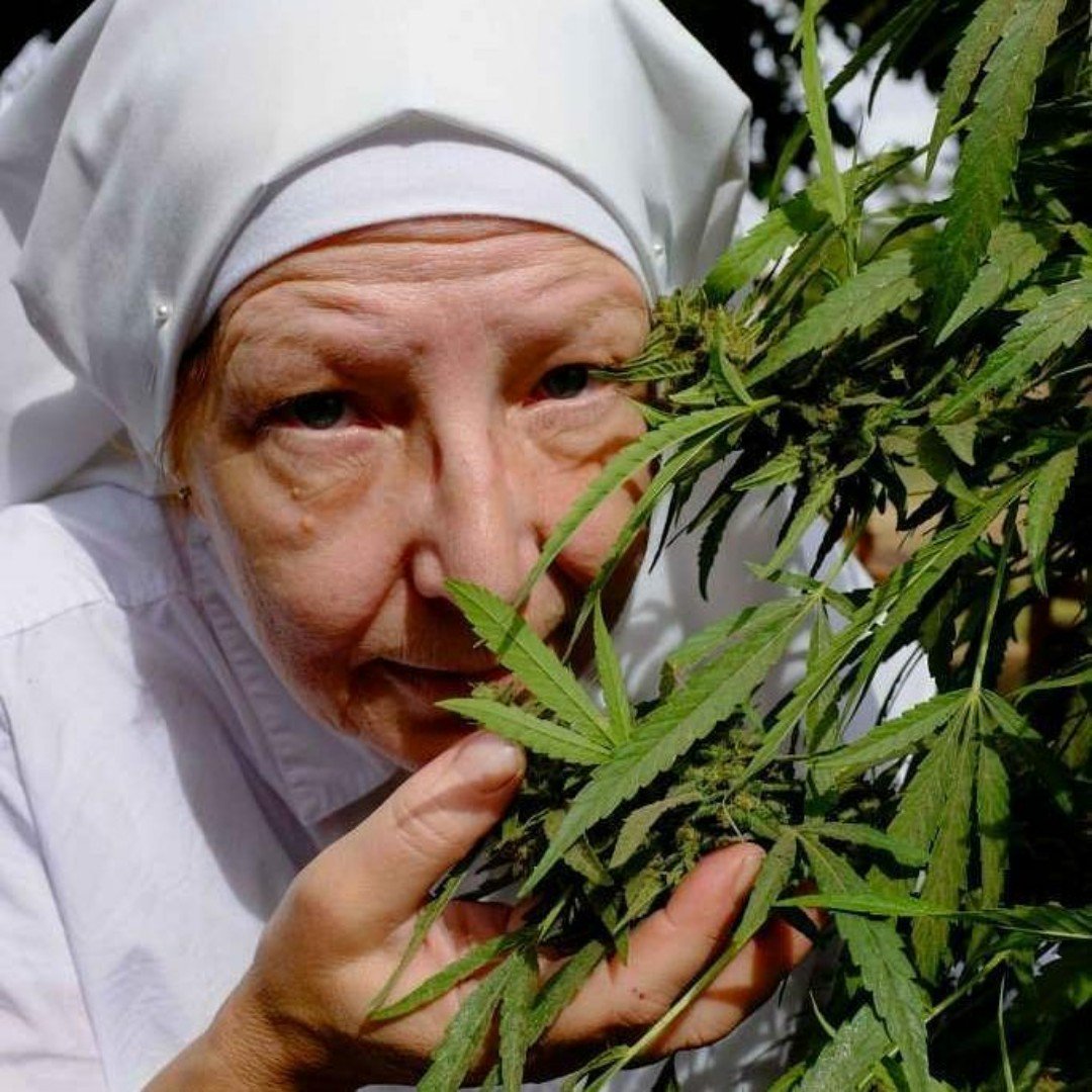 фильм бабушка продает марихуану