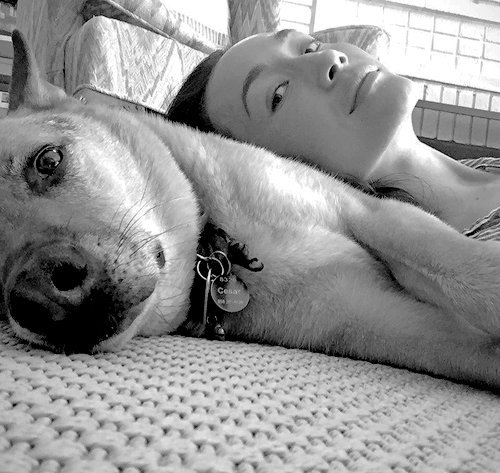 BornOfThePit's tweet image. Renegade and I.