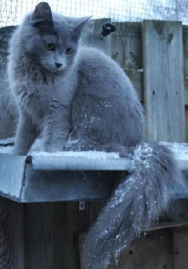 <a href="/thetideishight/">Allexander001</a> <a href="/Didinette02/">Didine02</a> <a href="/yanne888/">snow888</a> <a href="/Lafofe26/">Flo de Flo</a> @PierreLePigeon <a href="/KKokorinko/">Kokorinko Kokorinko</a> <a href="/birgitlissowsky/">Birgit Lissowsky</a> <a href="/Millakisu/">Helena</a> <a href="/Verywimp/">Frank V.❤️Cats😻 040Ehv. Does only Voluntary work!</a> <a href="/Madelei98465055/">Madeleine</a> <a href="/CPettle/">carol pettle</a> <a href="/m_yosry2012/">Gaml .y</a> <a href="/CoralieArtu/">🐷🐞 Coralie 🐞🐷</a> <a href="/Tirolerin45/">dieSchatzen Oma</a> ❄️🌸❄️🌸❄️🌸
 🐾Meow ♪:*ﾟ~🐾
🌸❄️🌸❄️🌸❄️🌸