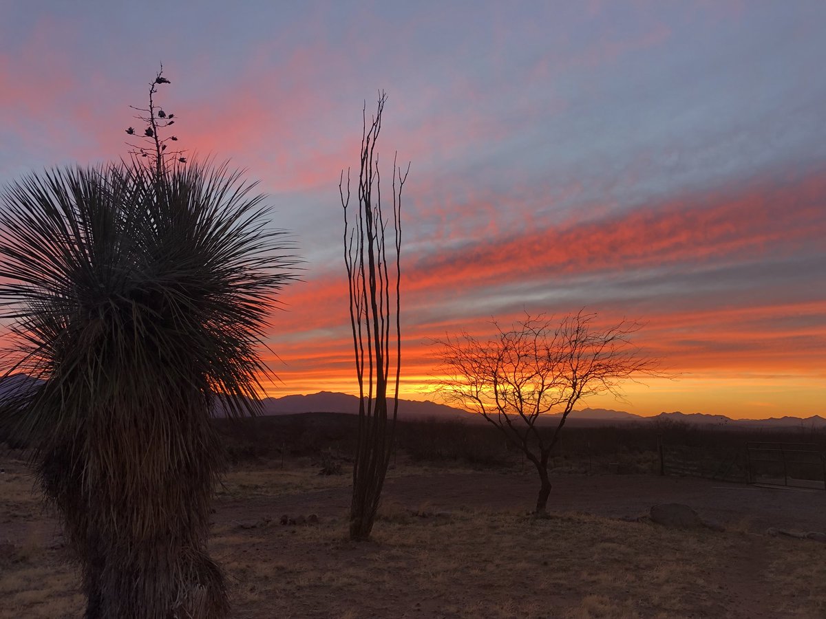 CIFan4Life's tweet photo. @Chris_Iannetta , you keep tweeting those #AZSunrises and Iβll cover the #AZSunsets! Gotta keep everyone jealous of these gorgeous skies! πβ€οΈπ΅βοΈ https://t.co/qjJ5cLaRZ7