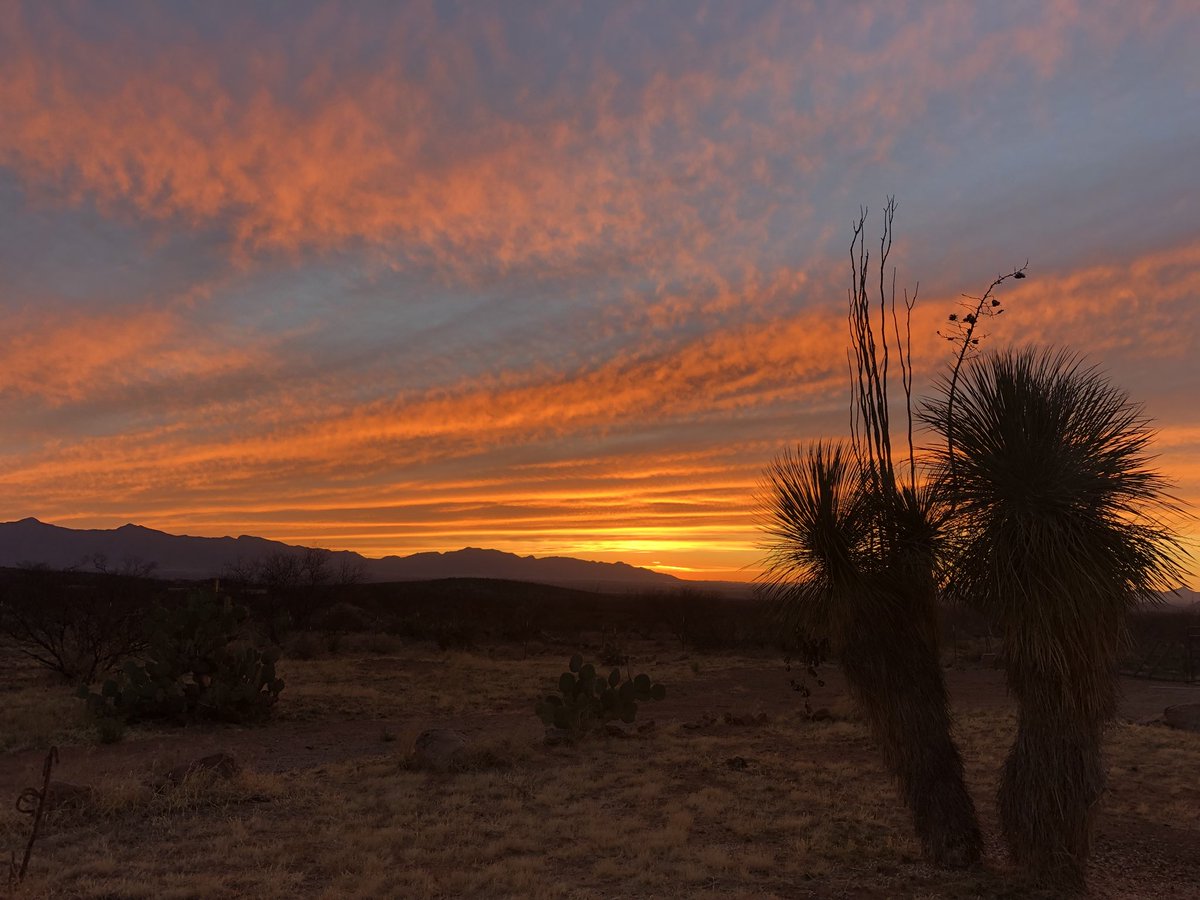 CIFan4Life's tweet photo. @Chris_Iannetta , you keep tweeting those #AZSunrises and Iβll cover the #AZSunsets! Gotta keep everyone jealous of these gorgeous skies! πβ€οΈπ΅βοΈ https://t.co/qjJ5cLaRZ7