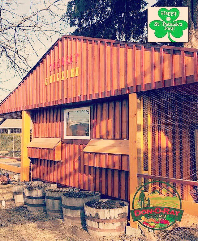 donorayfarm's tweet photo. Happy St. Patrick’s Day from your pals at the Don-O-Ray ChickInn! #donorayeveryday #donorayfarms #donorayvegetables #chickinn #explorekelowna #kelownafarmersmarket #tourismkelowna #tourismokanagan #farmtotable #supportlocal #ylw #kelownanow #stpatricksday #kelownafarms #kelowna https://t.co/lTnoWhKEBc