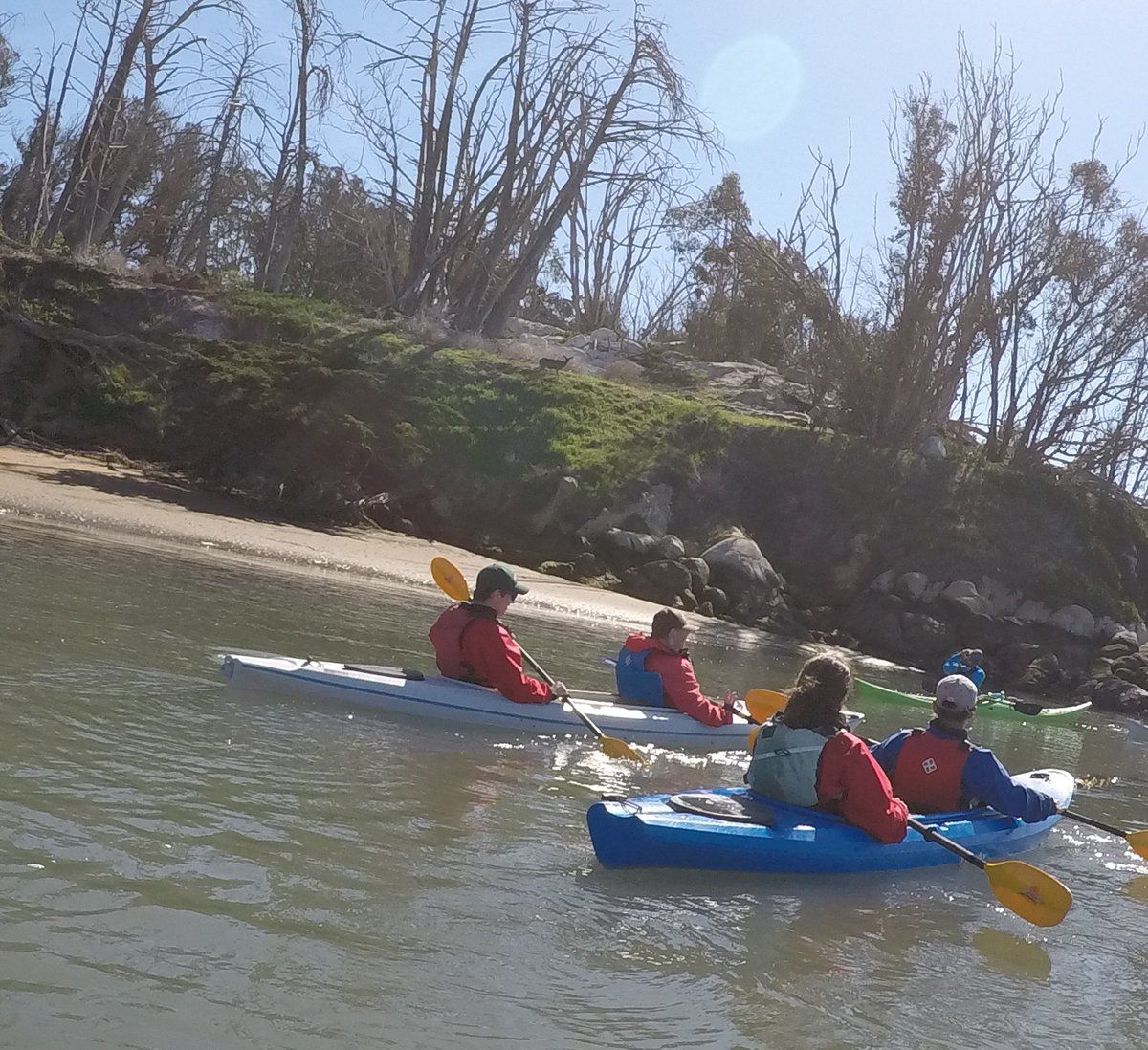 AngleOar's tweet photo. Newsletter for #AdaptivePaddling programs hot off the press! #kayaking https://t.co/Vq22BWZN33 https://t.co/EOPldPyK2q