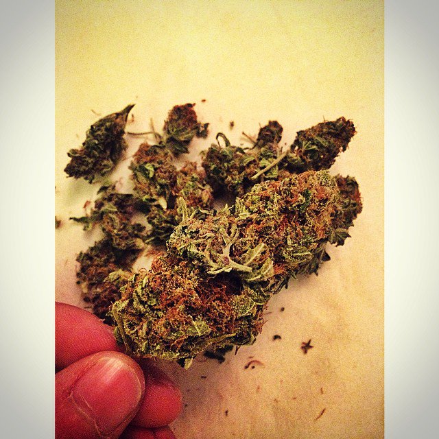 Ace of spades😍 very nice bud💯🍁 
#allweednews #goodvibes 
#stonernation #maryjane #kush #gaming #toker #highsociety #high #smoke #dank #bud #pot #vape #grinder #stoned #dope #zippo #ganja #bowl #piece #joint #marijuana #bong #smoketricks #pipe #lighter