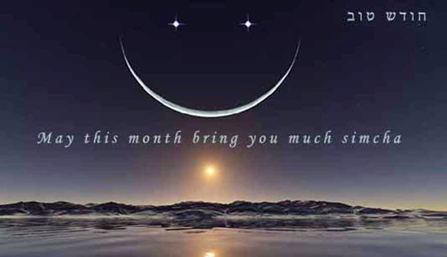 SarahFrum's tweet image. 