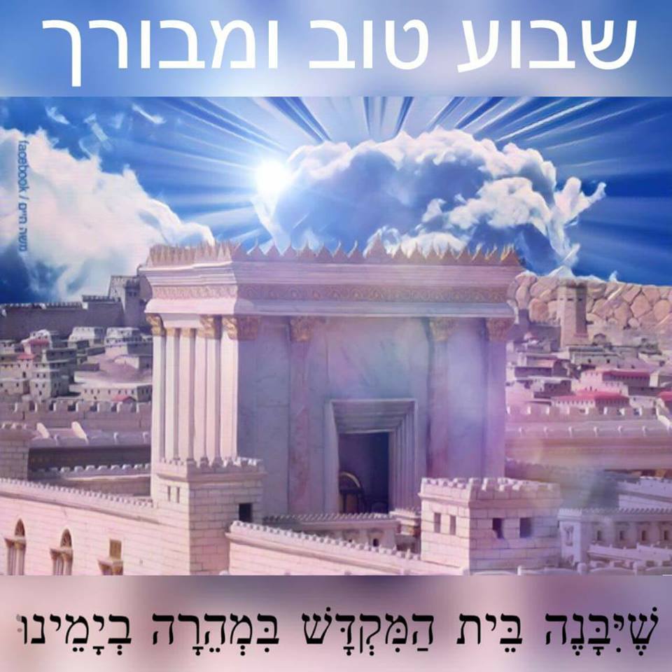 SarahFrum's tweet image. 