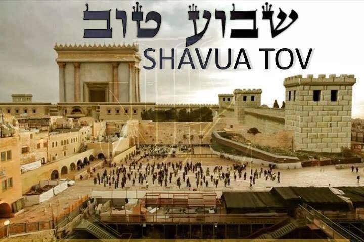 SarahFrum's tweet image. 