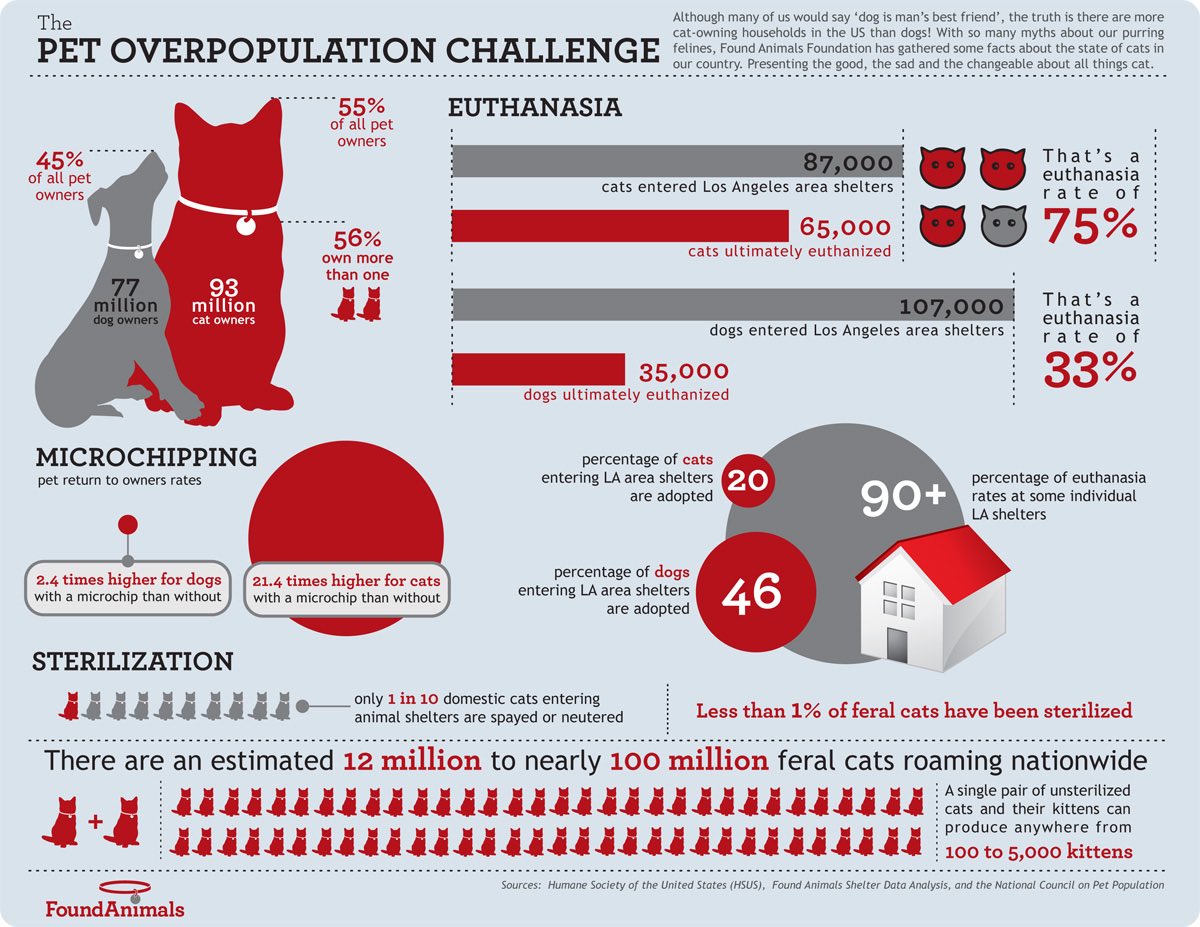 saltyaboutstuff's tweet photo. @teddygala @swagoreturns @syyyddthekidd In a couple years one animal can produce hundreds of offspring. More animals born = less homes = less room in shelters. So, shelters sometimes have no choice but to euthanize animals. This is why spaying/neutering is so important. There’s plenty of stats online, but here’s some: https://t.co/XPnEZ9pHxq