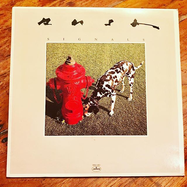 lucid_structure's tweet photo. Thought I'd give this a spin while making dinner. It's been a bit. #rush #progrock #progressiverock #alexlifeson #geddylee #neilpeart #influencialmusic #favoriteband #rushsignals #explore #create #inspire https://t.co/8jiCdjzWDS