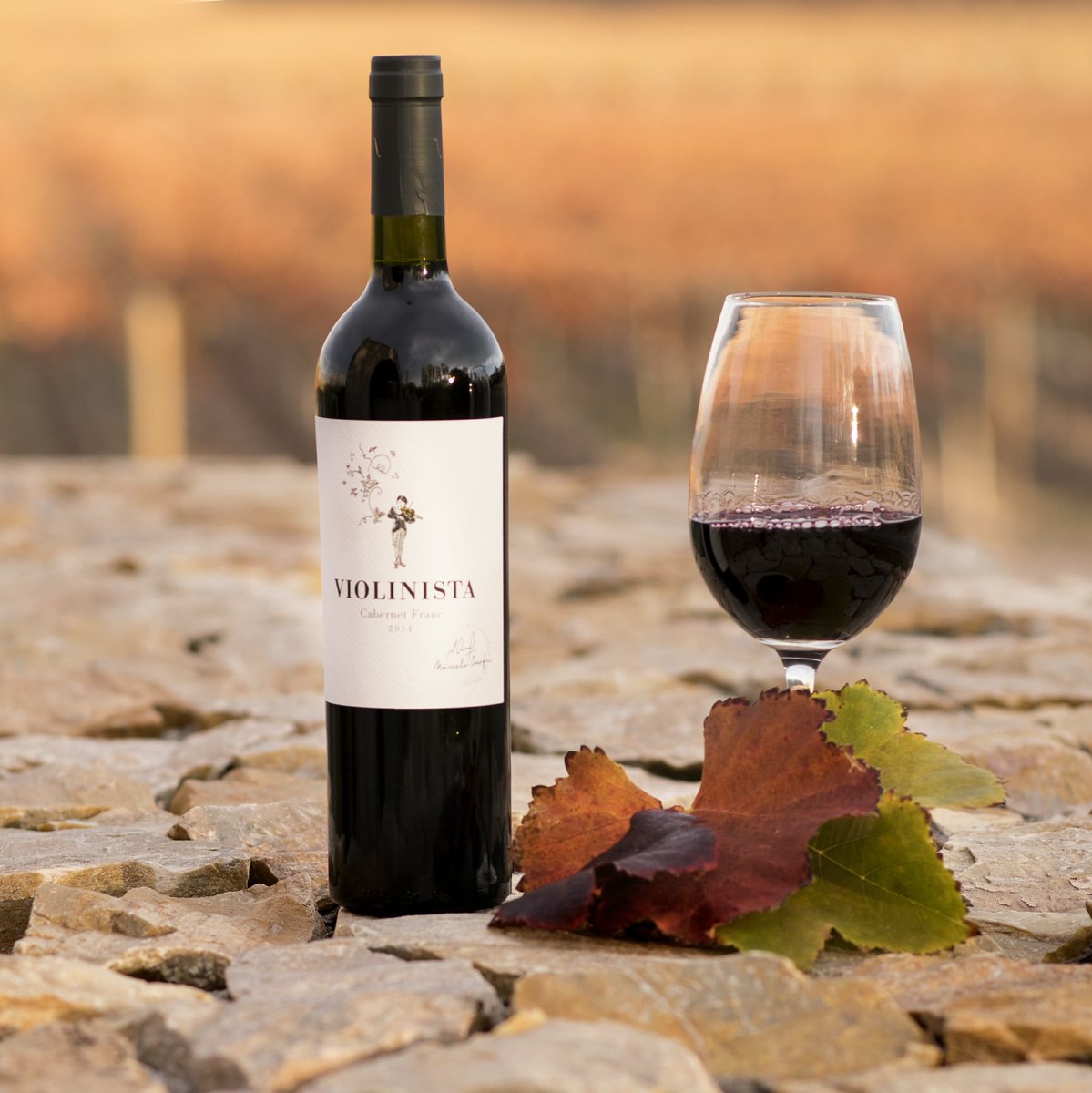 Violinista wines (@marceloonofri) on Twitter photo 
