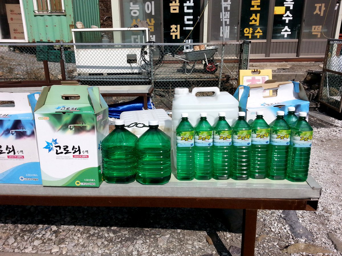 nnadtech's tweet image. 검찰에 간 대통령은 ‘모르쇠’ , 나는 ‘고로쇠’ 
38번 국도를 따라가다 보면 정선과 영월의 도로변에 고로쇠를 판매하는 곳들이 많죠. 약간 달작지근하면서도 밍밍한 고로쇠 물맛이 건강에 좋다니까 그래서 그런지 속이 뻥 뚫리는 기분이 드네요. 
고로쇠(2리터) 8,000원