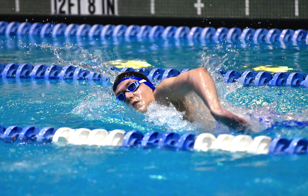 laxwormX's tweet photo. @masukboysswim - Freshman Joey Nizzardo pops a 4:51.92 in the 500FR https://t.co/4DspbvAnkP