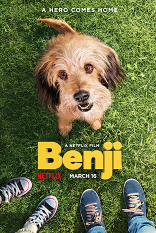 ordinaryaunt's tweet photo. New Benji Now Available on Netflix  #BenjiTheMovie https://t.co/UGV2r5dBRg via @2kidsandacoupon https://t.co/otITm2PvDn