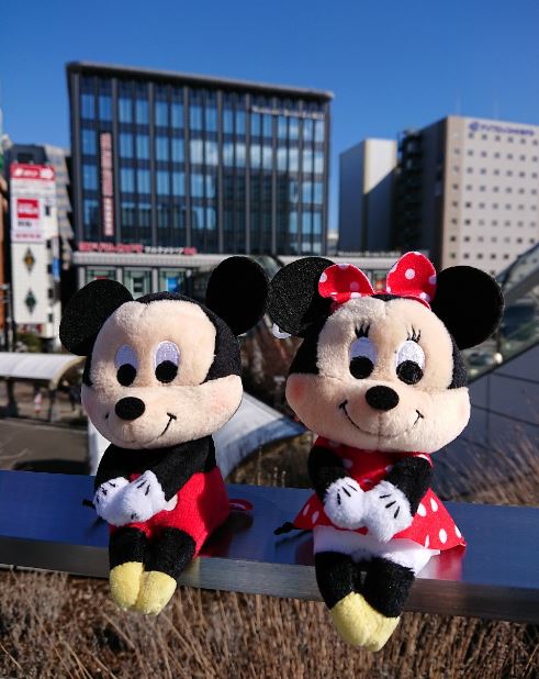 ヨドバシカメラ 仙台店 Snsで話題 ぬい撮り 用ぬいぐるみ ぬいぐるみが実際に生活しているようなカワイイ写真で話題の ぬい撮り ぬい撮りにピッタリ ちょっこりさん の全ラインナップをご用意しました 大好きなキャラで写真をいっぱい撮りません ヨドバシカメラ 仙台店 Snsで話題 ぬい撮り 用ぬいぐるみ ぬいぐるみが実際に生活しているようなカワイイ写真で話題の ぬい撮り ぬい撮りにピッタリ ちょっこりさん の全ラインナップをご用意しました 大好きなキャラで写真をいっぱい撮りません