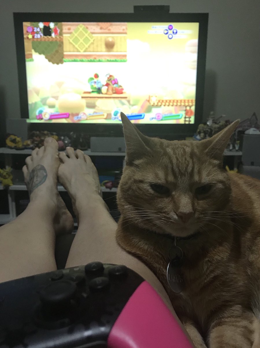 ShellieJaye's tweet image. Days in are the best