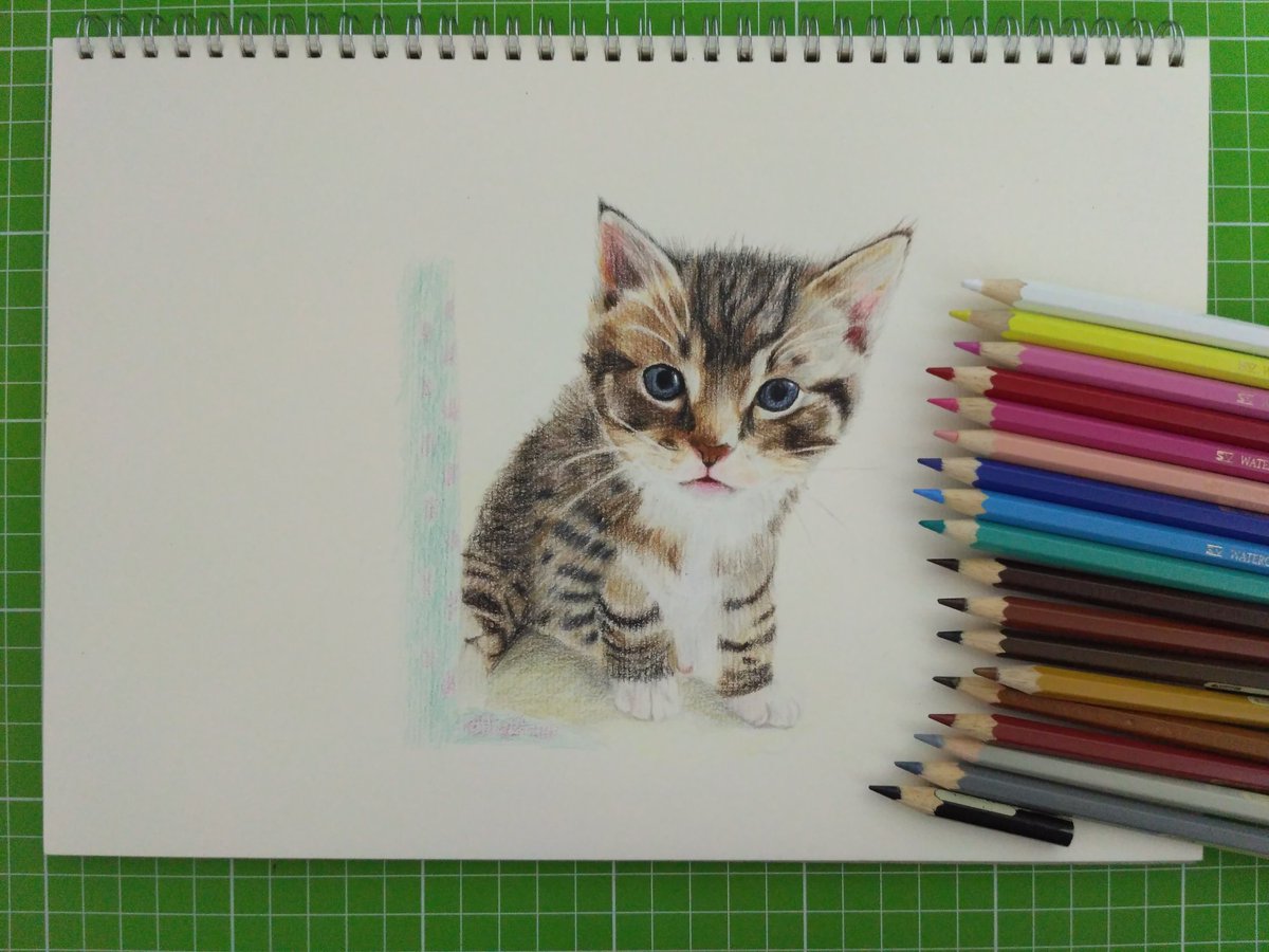 L K 描繪之旅on Twitter 色鉛筆 小貓咪 色鉛筆 鉛筆 色鉛筆画 色鉛筆畫 Colorpencil Pencil Art