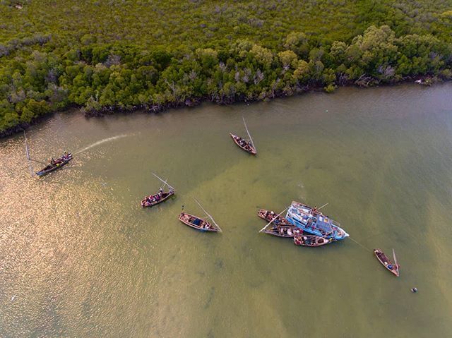 OneTouchMediaKe's tweet photo. Fishing boats in Faza, Lamu County. 
Fishermen from Faza Village on Pate Island in Lamu County sell their catch to the blue boat by the kilo. The blue boat has ice storage that enables it deliver fish to markets in Lamu and Mombasa while still fresh, som… https://t.co/sQRDs2ox3p https://t.co/UfR4lbk1PC