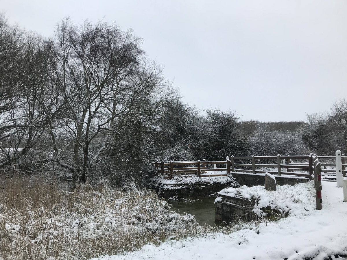 plestee's tweet image. I told my son that seeing the snow on the beach was a once in a lifetime thing. It’s now twice in two weeks! What does that tell him 😂 #reallydad #snowdays