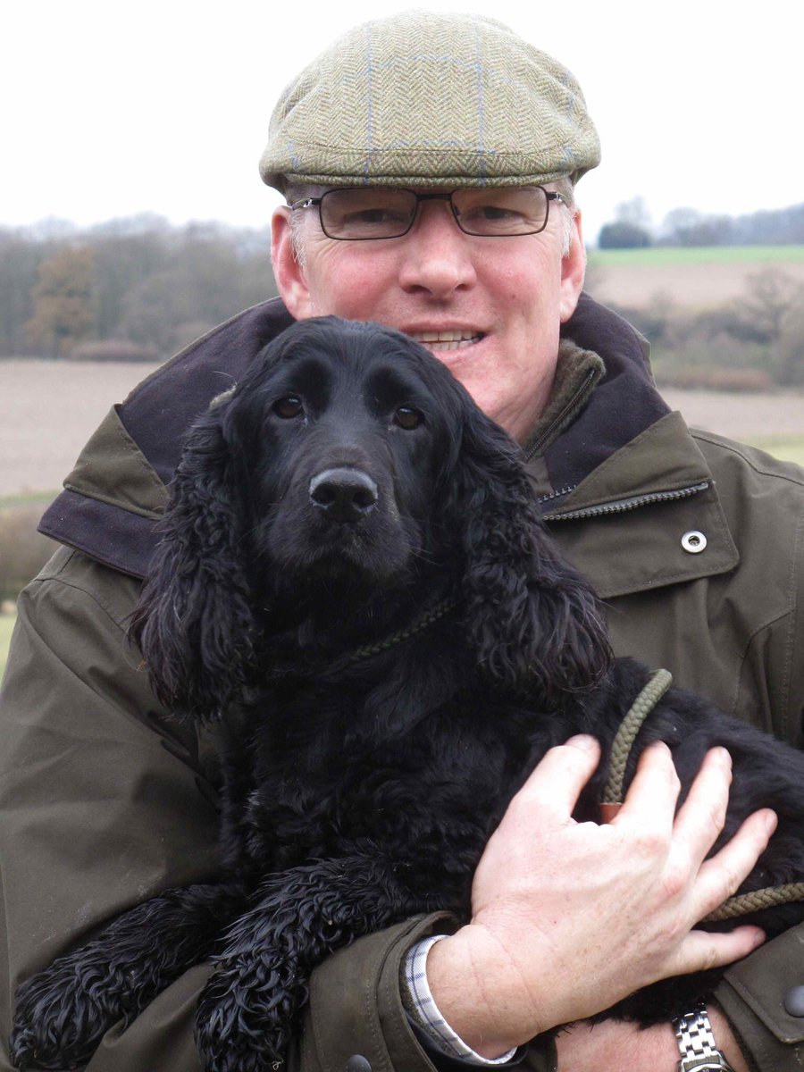 Stolen&Missing Pets tweet media