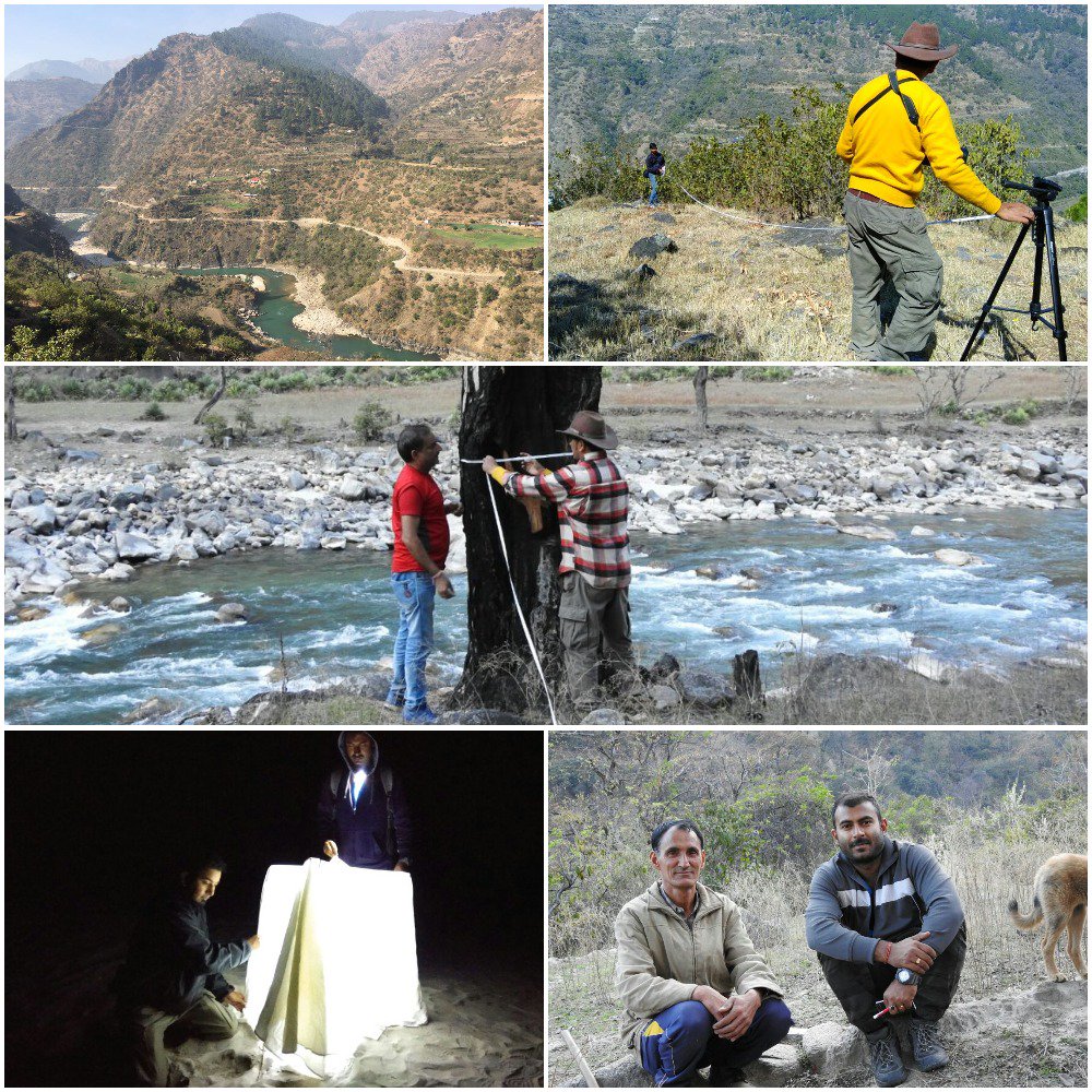 EverainGlobal's tweet image. A great though hectic few days of #teamEverain conducting #BiodiversityImpactAssessment of a #HydroProject at #Chakrata, #Uttrakhand.