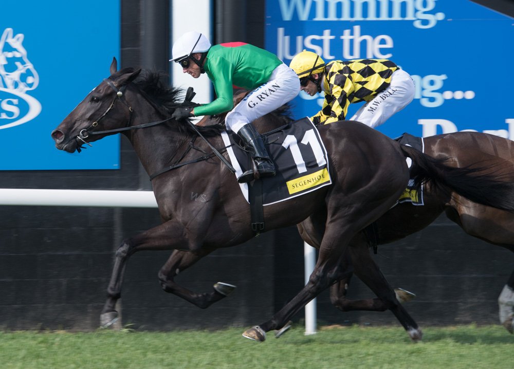 sconeraceclub's tweet photo. MISSYBEEL won R6 @SegenhoeGroup Class 1 & Maiden Plate Showcase 1600m in RT 1.35.54 (ST 35.72). Official margins Neck x 4.5 lengths @BBakerRacing #GregRyan https://t.co/vaDieHj4AT